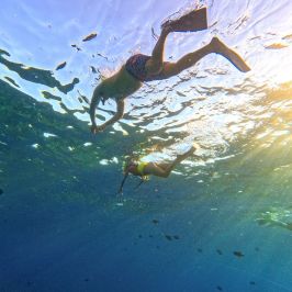 a man swimming in the water