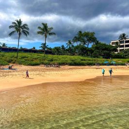 a group of people standing on top of a sandy beach