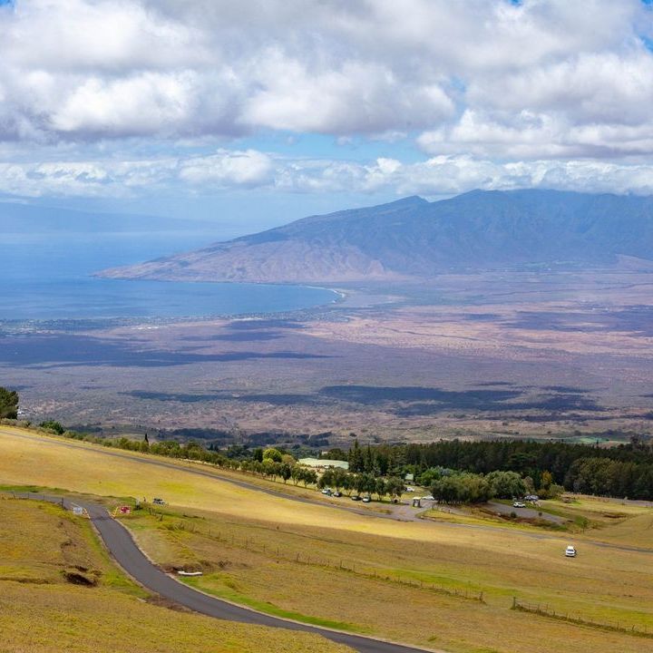a large green field with a mountain in the background