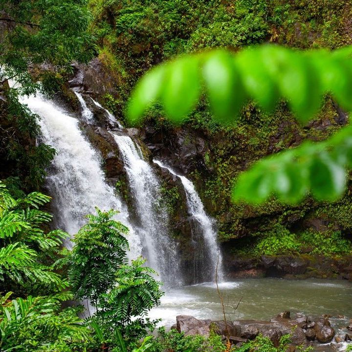 a waterfall surrounded by trees