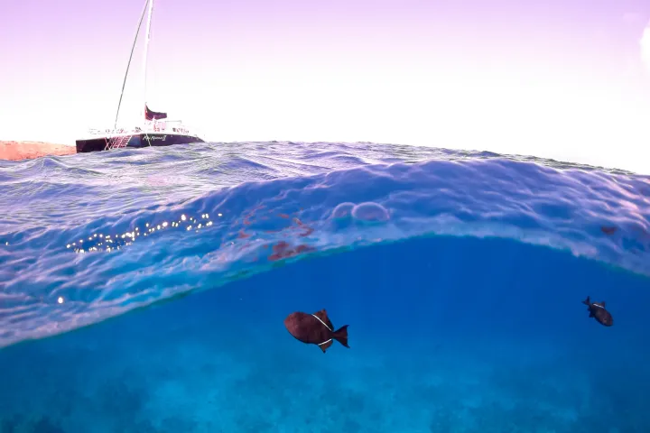 a man riding a wave on top of a body of water