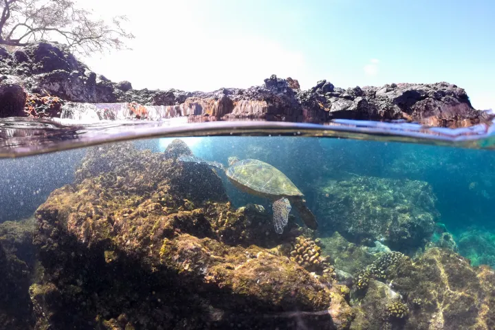 underwater view of the ocean