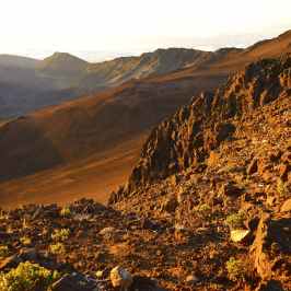 a view of a rocky mountain with trees in the background